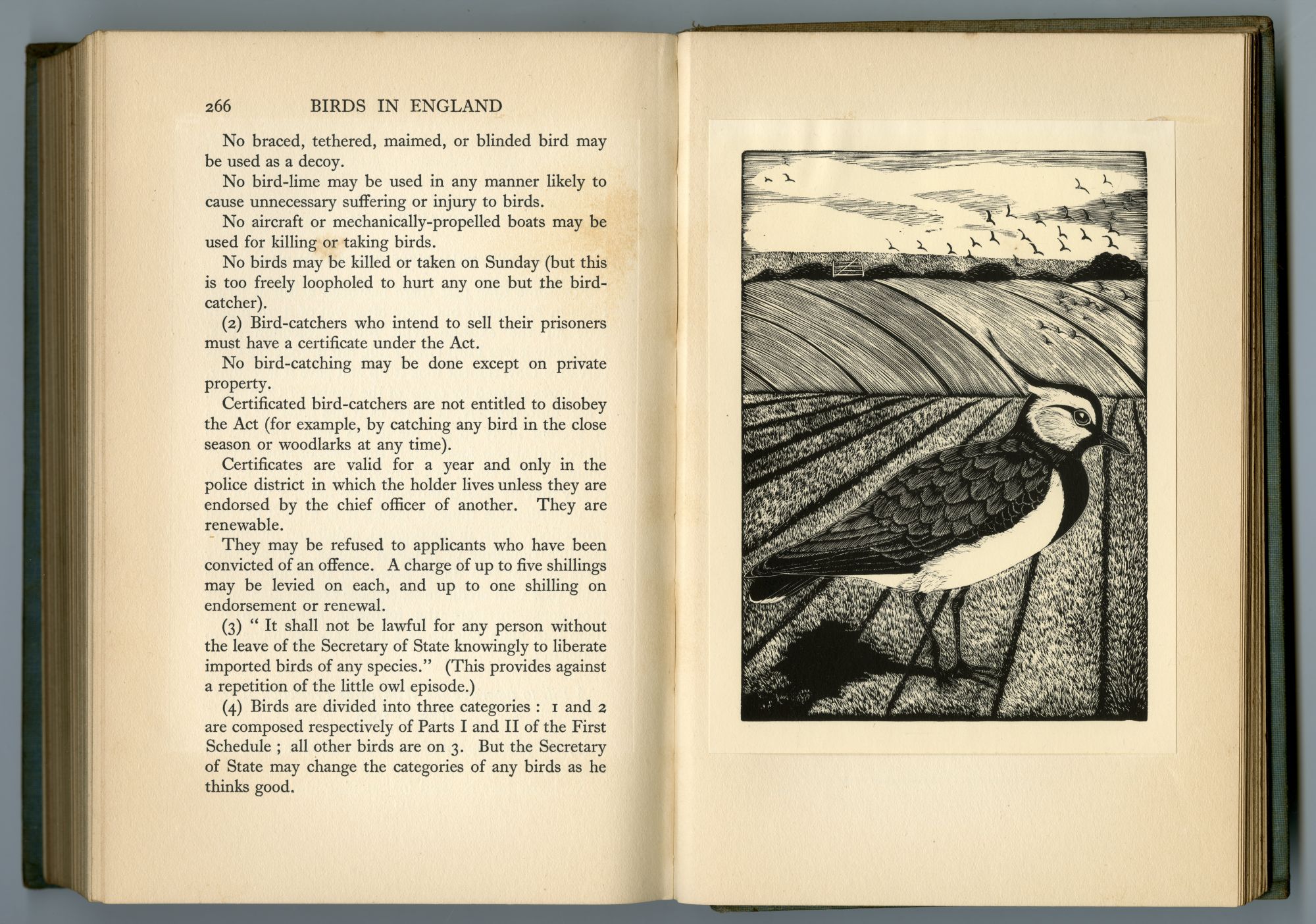 『BIRDS IN ENGLAND』（1926年、CHAPMAN AND HALL）のページから06